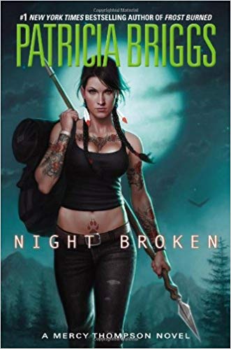 Night Broken Audiobook Free